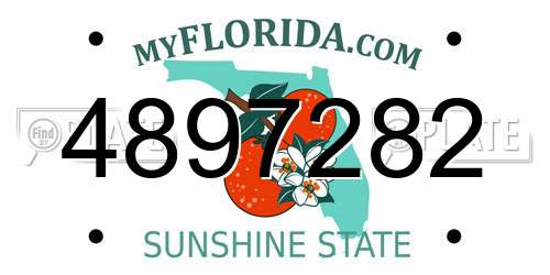 4897282 Florida License Plate