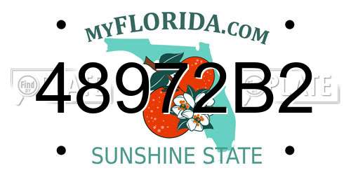 48972B2 Florida License Plate