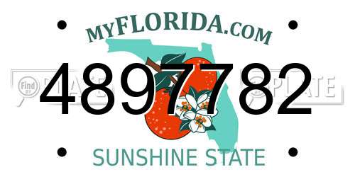4897782 Florida License Plate