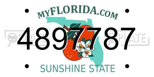 4897787 Florida License Plate