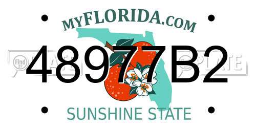 48977B2 Florida License Plate
