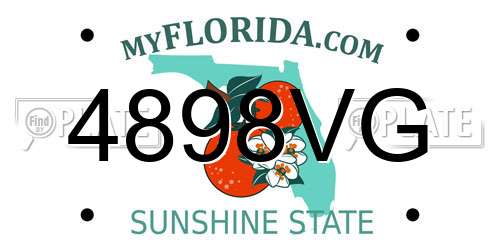 4898VG Florida License Plate