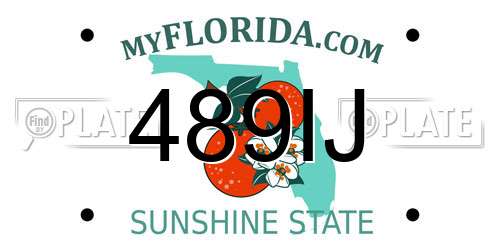 489IJ Florida License Plate