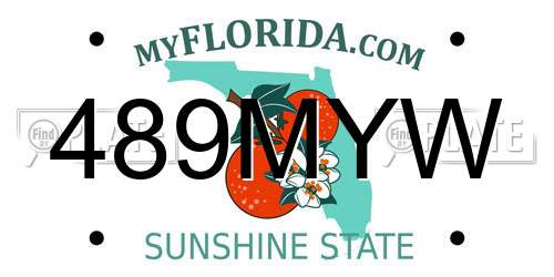 489MYW Florida License Plate