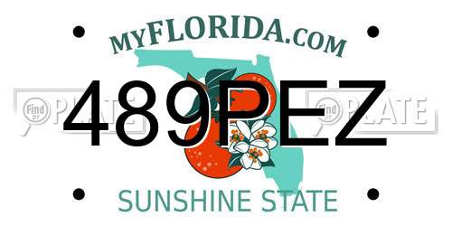 489PEZ Florida License Plate