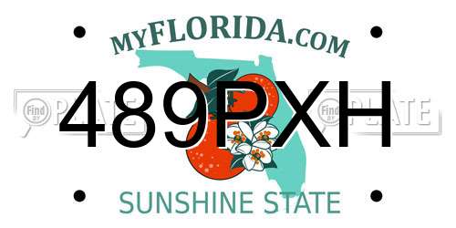 489PXH Florida License Plate