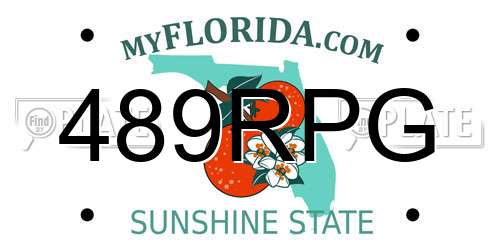 489RPG Florida License Plate