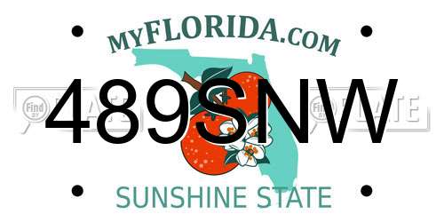 489SNW Florida License Plate