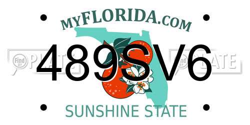 489SV6 Florida License Plate