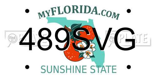 489SVG Florida License Plate