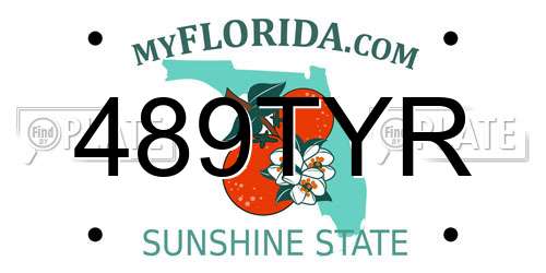 489TYR Florida License Plate