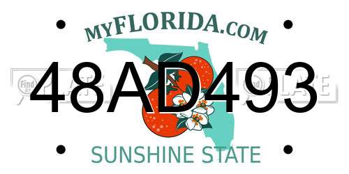 48AD493 Florida License Plate