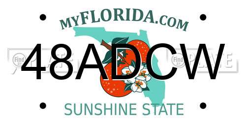 48ADCW Florida License Plate