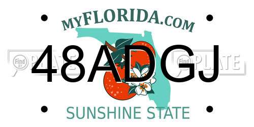 48ADGJ Florida License Plate