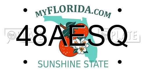 48AESQ Florida License Plate