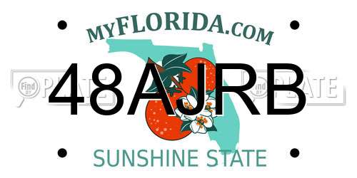 48AJRB Florida License Plate