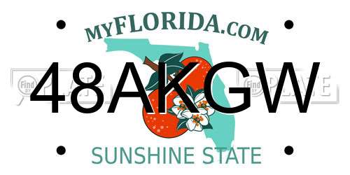 48AKGW Florida License Plate