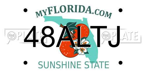 48ALTJ Florida License Plate