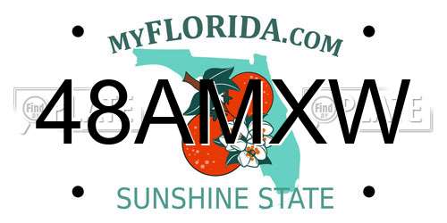 48AMXW Florida License Plate