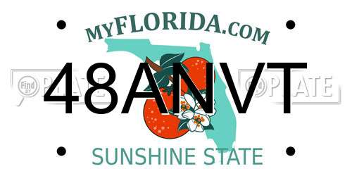 48ANVT Florida License Plate