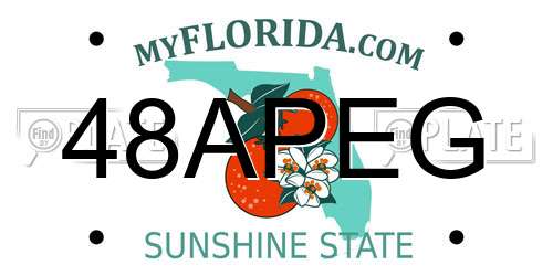 48APEG Florida License Plate