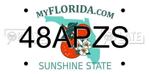 48APZS Florida License Plate