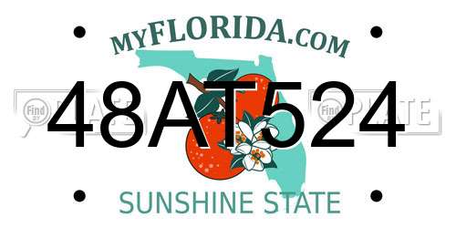 48AT524 Florida License Plate