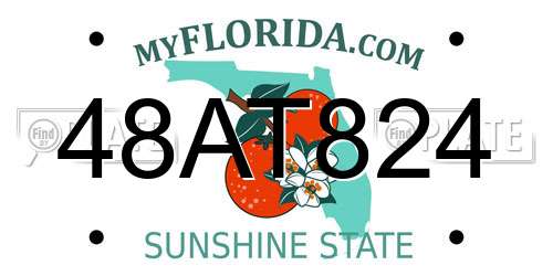 48AT824 Florida License Plate