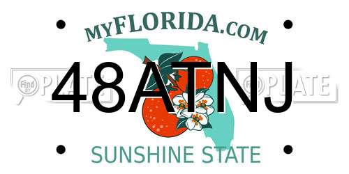 48ATNJ Florida License Plate