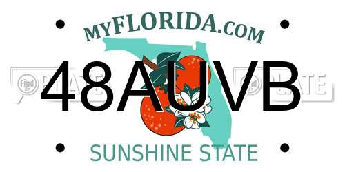 48AUVB Florida License Plate