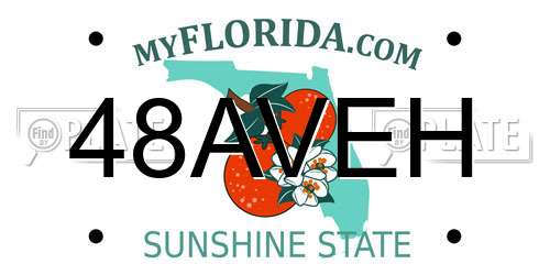 48AVEH Florida License Plate