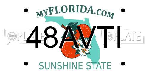 48AVTI Florida License Plate