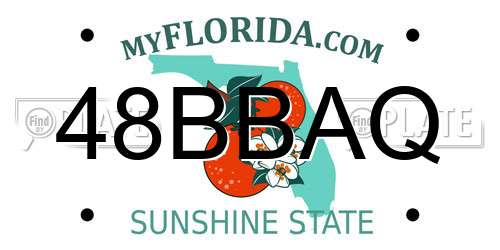 48BBAQ Florida License Plate