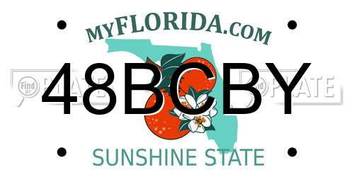 48BCBY Florida License Plate