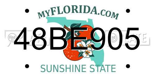 48BE905 Florida License Plate