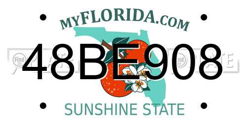 48BE908 Florida License Plate
