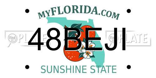 48BEJI Florida License Plate