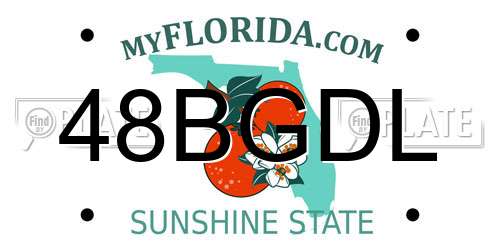 48BGDL Florida License Plate