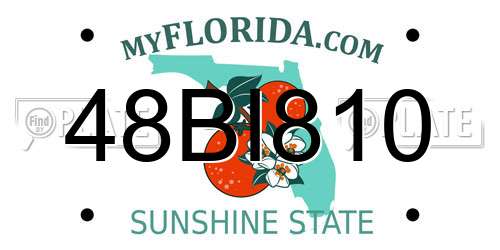 48BI810 Florida License Plate