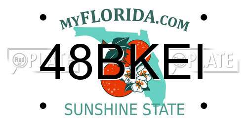 48BKEI Florida License Plate