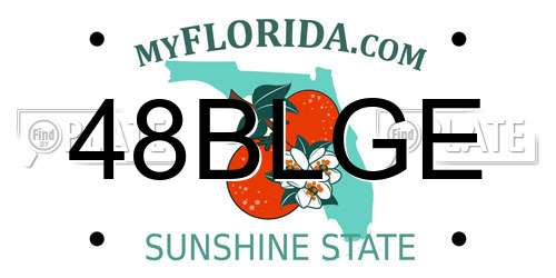 48BLGE Florida License Plate