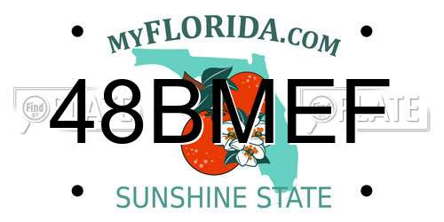 48BMEF Florida License Plate