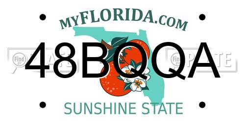 48BQQA Florida License Plate