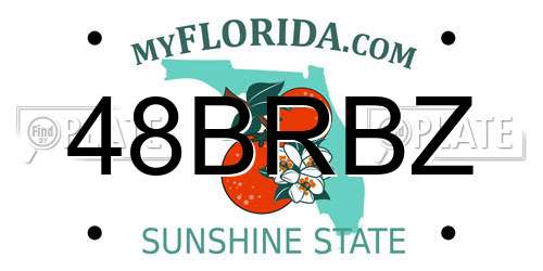 48BRBZ Florida License Plate