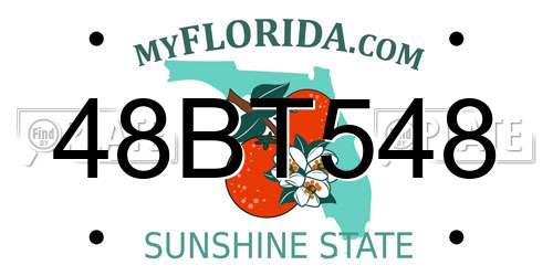 48BT548 Florida License Plate