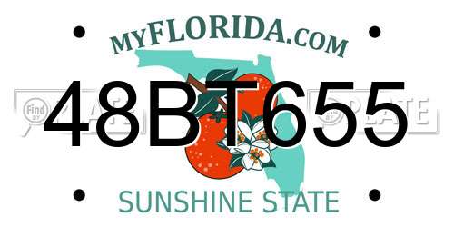 48BT655 Florida License Plate