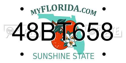 48BT658 Florida License Plate