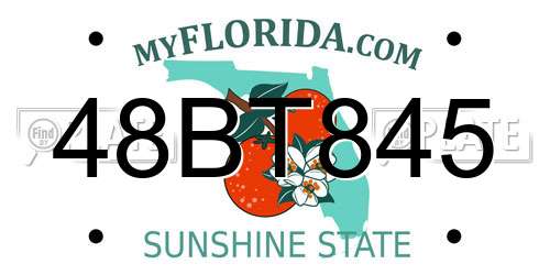 48BT845 Florida License Plate