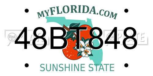 48BT848 Florida License Plate