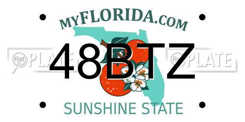48BTZ Florida License Plate